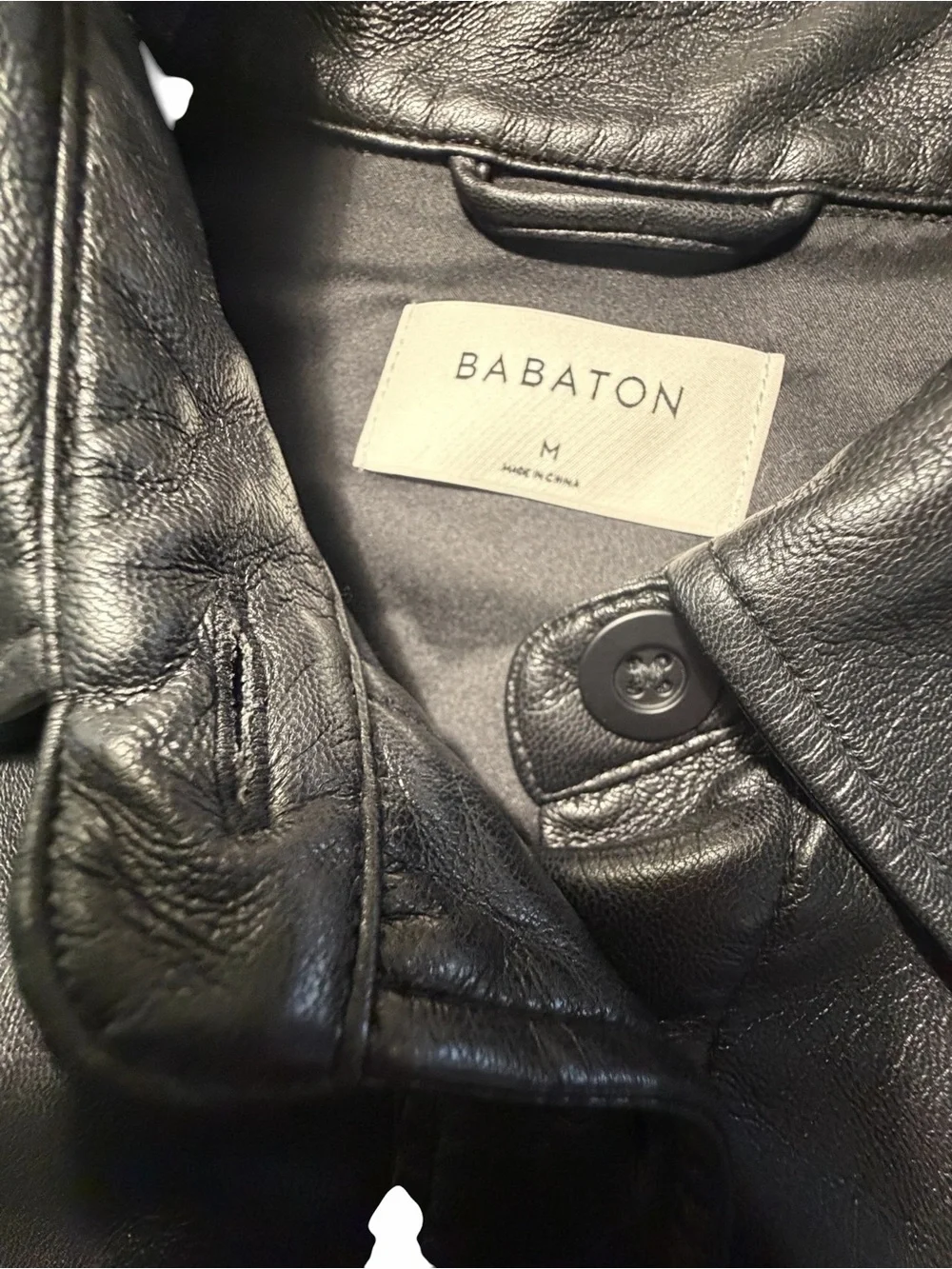 Aritzia babaton pelli